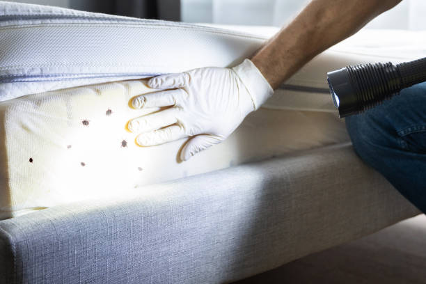 Best Pest Inspection Near Me  in Lewistown, PA
