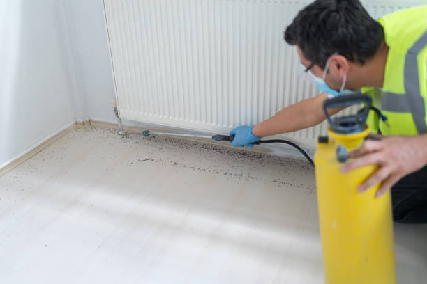 Best Best Pest Control Companies  in Lewistown, PA