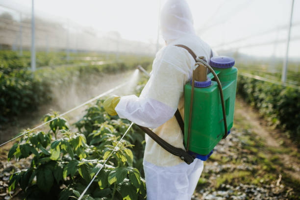 Best Mosquito Control Services  in Lewistown, PA